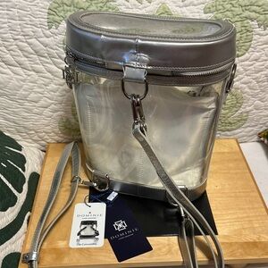Domini Transparent Silver Crossbody Bag with detachable lining. Very classy!